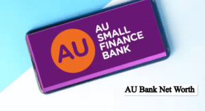 AU Bank Net Worth