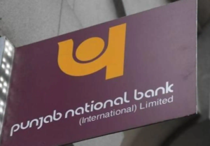 Punjab National Bank Net Worth